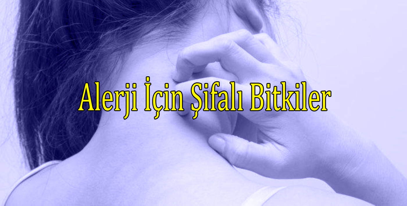 Alerji İçin Şifalı Bitkiler