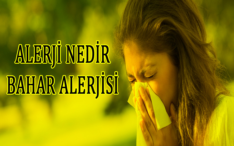 Alerji Nedir - Bahar Alerjisi Nasıl Geçer?