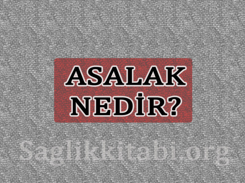 Asalak Nedir – Asalak Hayvanlar ve Asalak Yaşam