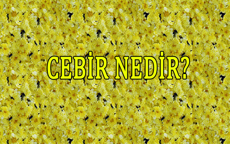 Cebir Nedir?
