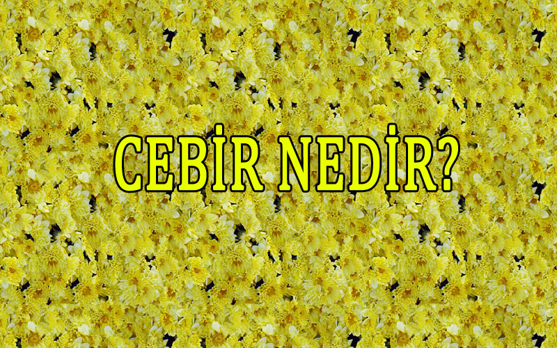 Cebir Nedir?