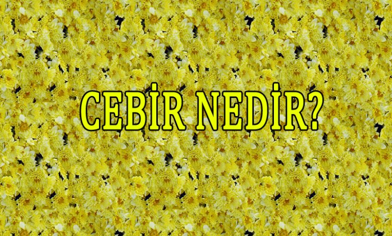 Cebir Nedir?