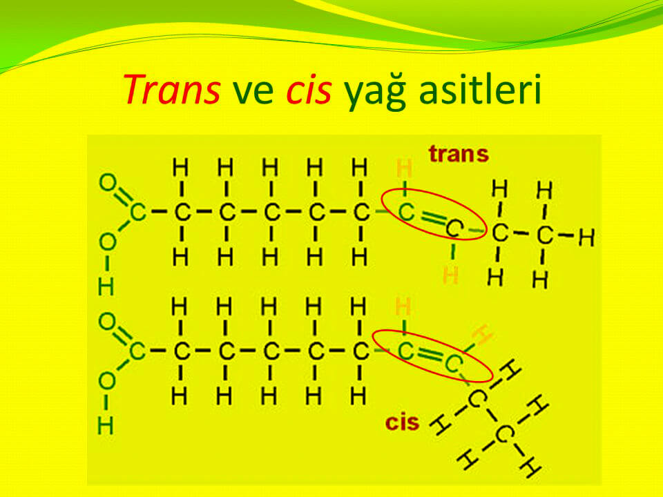 Yağ Asitleri