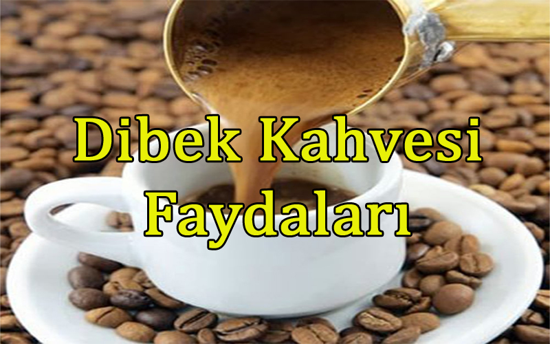 Dibek Kahvesinin Faydaları