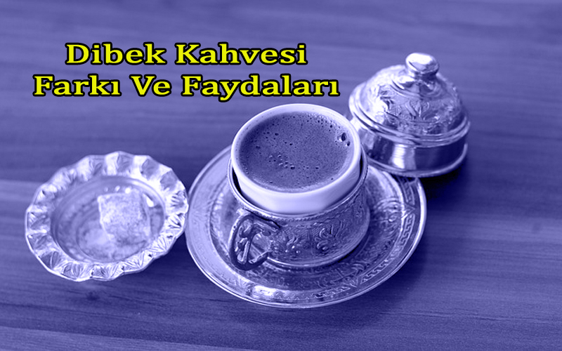 Dibek Kahvesinin Faydaları