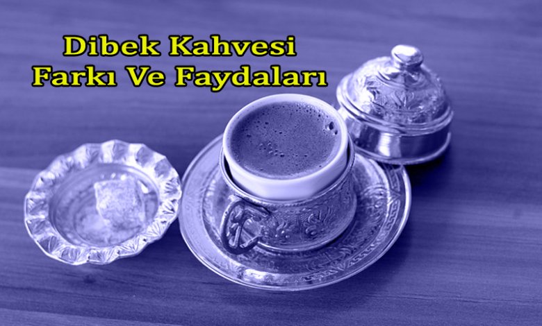 Dibek Kahvesinin Faydaları
