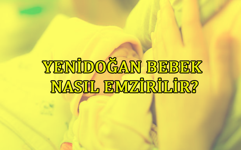 Bebek Nasıl Emzirilir?