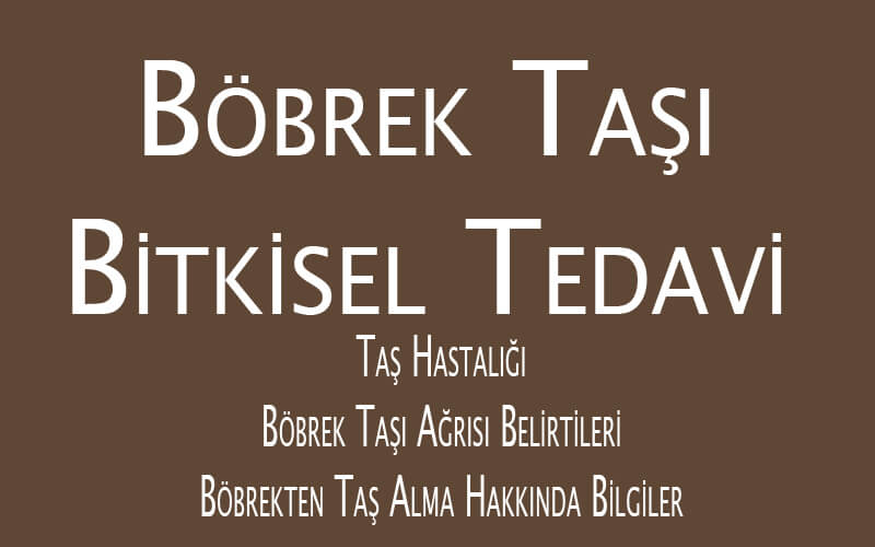 Böbrek Taşı İçin Bitkisel Tedavi - Taş Hastalığı, Böbrek Taşı Ağrısı Belirtileri, Böbrekten Taş Alma Hakkında Bilgiler