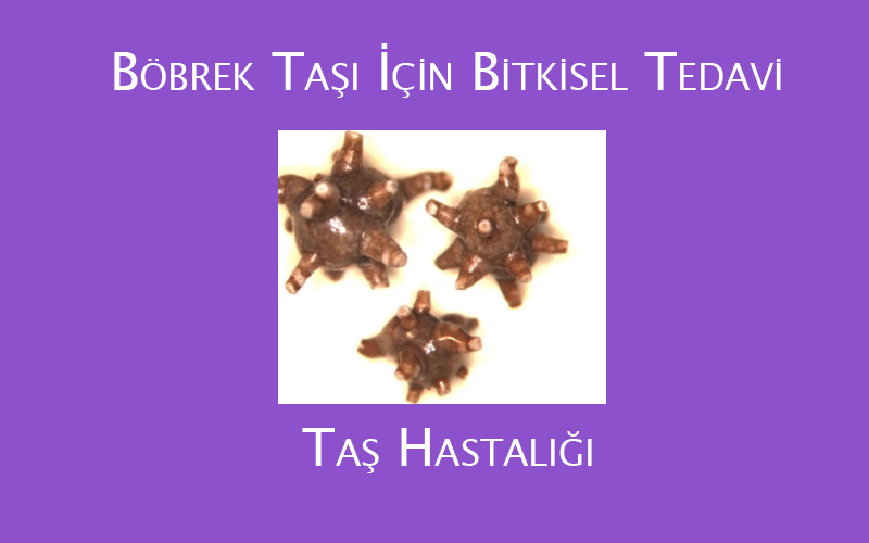 Böbrek Taşı İçin Bitkisel Tedavi - Taş Hastalığı, Böbrek Taşı Ağrısı Belirtileri, Böbrekten Taş Alma Hakkında Bilgiler