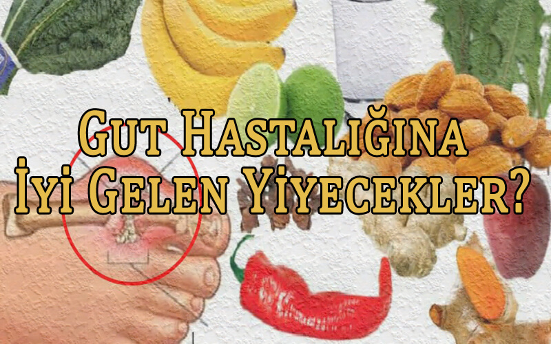 Gut Hastalığına İyi Gelen Yiyecekler?