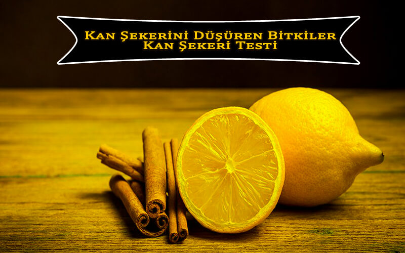 Kan Şekerini Düşüren Bitkiler ve Kan Şekeri Testi