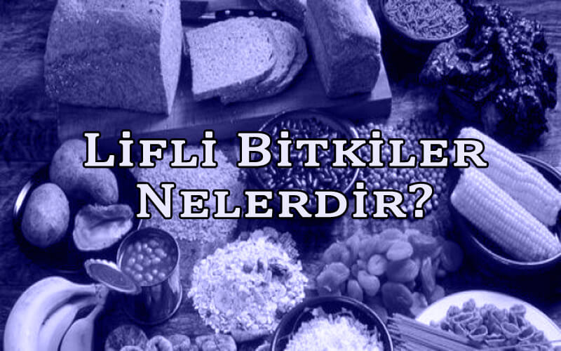 Lifli Bitkiler Nelerdir? Ne İşe Yararlar?