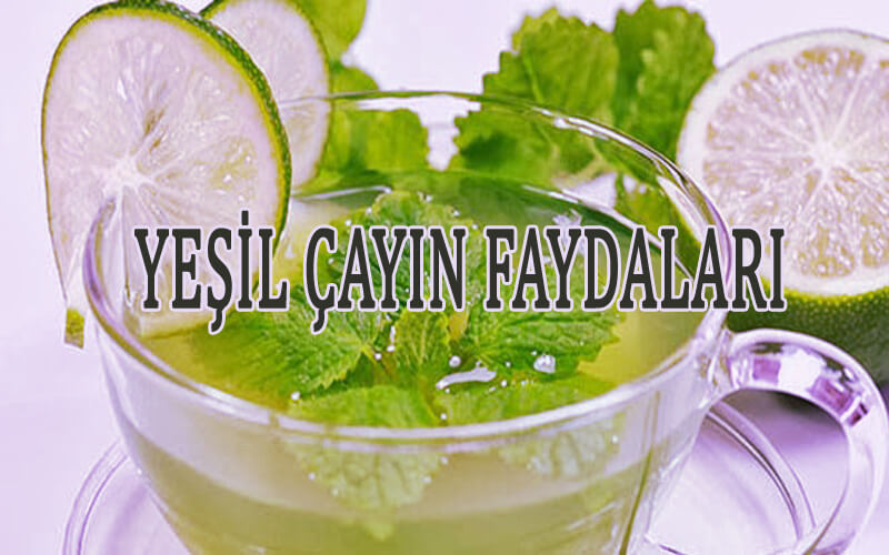 Yeşil Çayın Faydaları