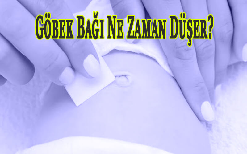 Göbek Bağı Ne Zaman Düşer?