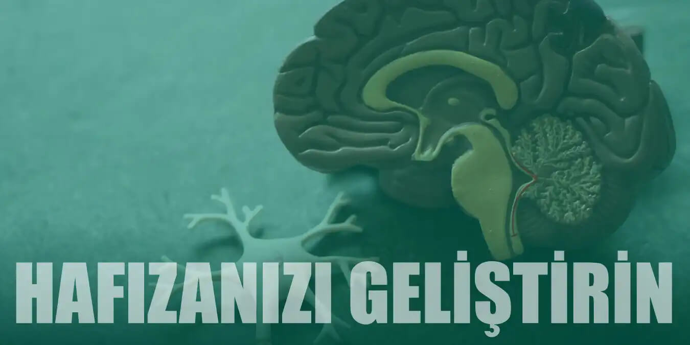 Hafızayı Geliştiren Beyin Egzersizleri