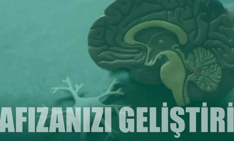 Hafızayı Geliştiren Beyin Egzersizleri